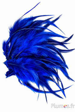 Gallo - 15-18 cm - blu caffè
